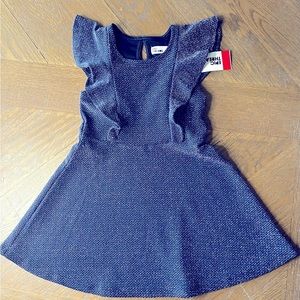 Toddler Girl Blue Swing Dress w/ Flutter Sleeves